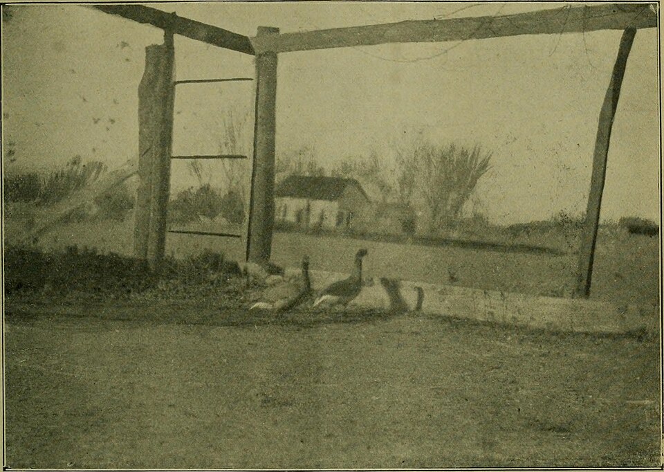Jóvenes revisando resultados académicos desde sus celulares